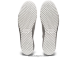 čisto srebro 8XPTRV230 Onitsuka Tiger cipele Meksiko 66 SD Paraty uniseks - Slika 6